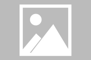 蜂鸟app官网- 拜仁旧将反戈一击攻破老东家  
